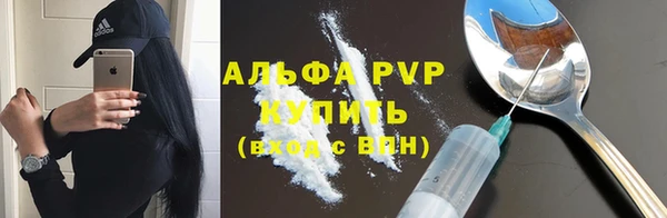 СК Бронницы