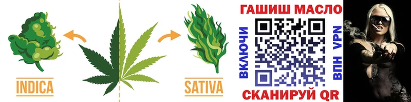 ТГК THC oil  Купить  Шенкурск 