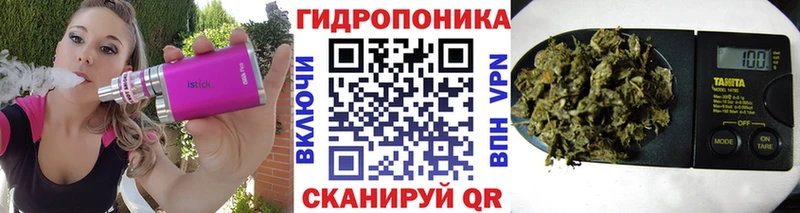 Купить закладки  Шенкурск  Бошки Шишки VHQ 